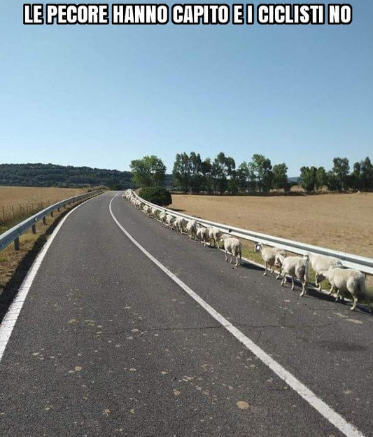 La sicurezza in bici: quando i consigli arrivano dagli automobilisti.